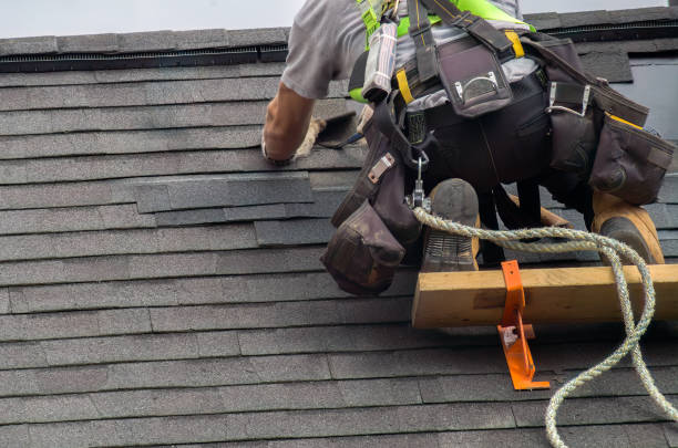 Roof Gutter Cleaning in Lake Holiday, VA
