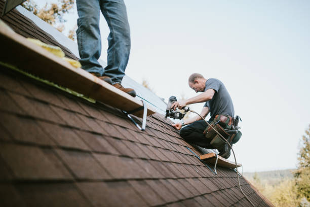 Best Storm Damage Roof Repair  in Lake Holiday, VA